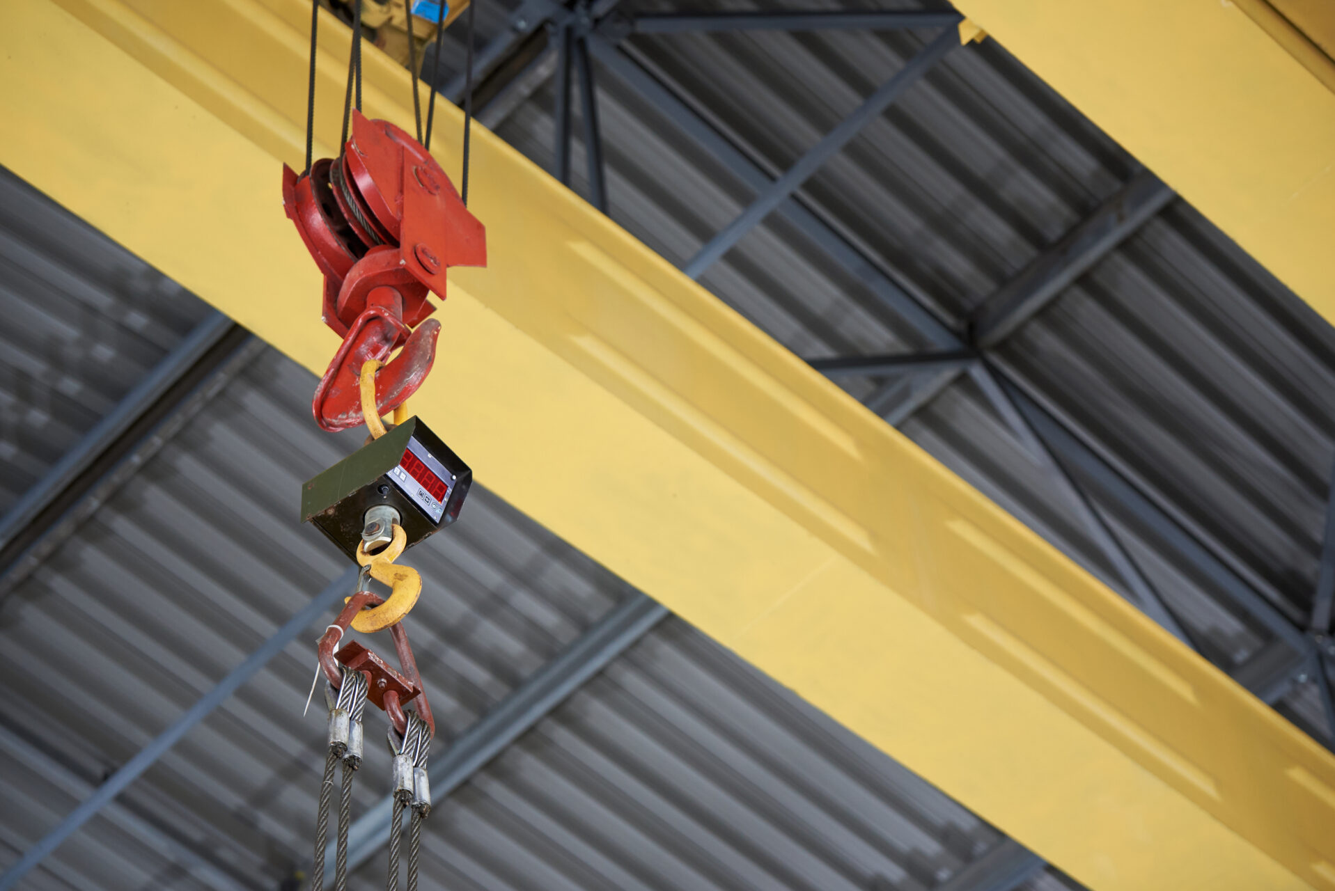Hook of crane with hook load gauge


